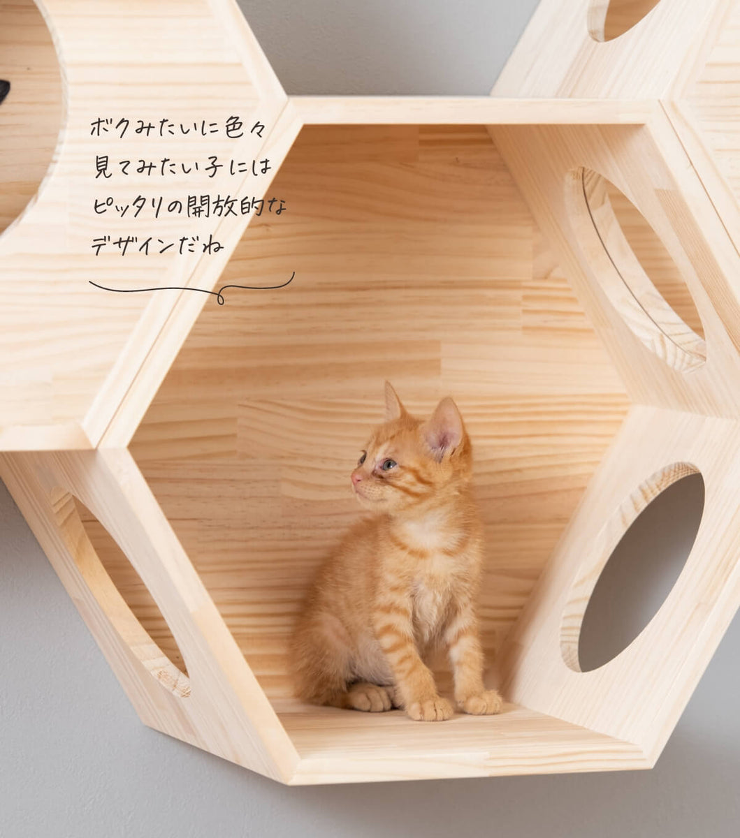 猫ハウス&キャットステップ 六角BOX①オープン ｜ 猫のための木工所