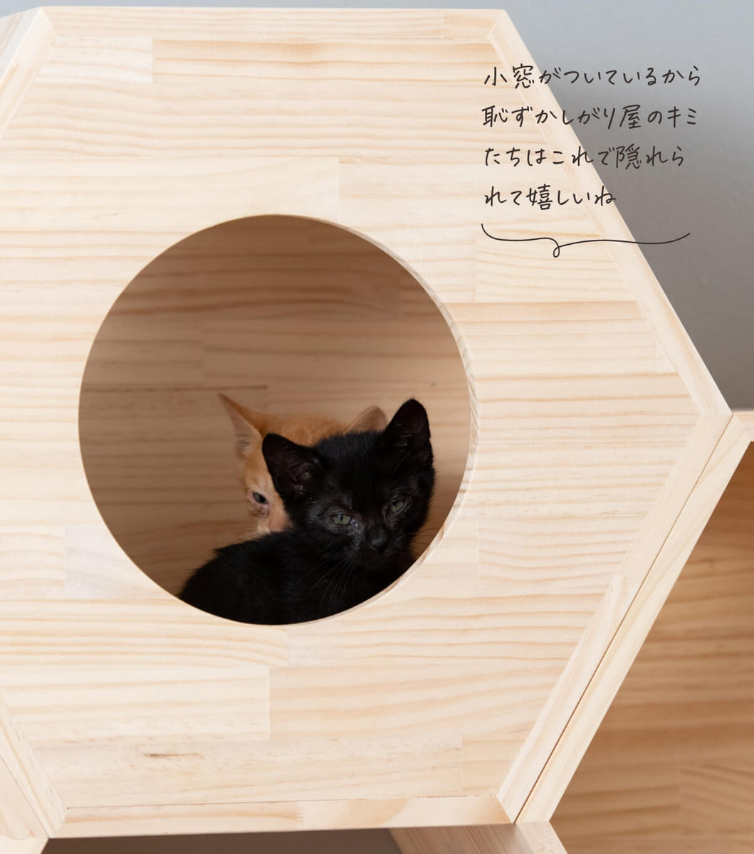 入園入学祝い Cat's工房 キャットハウス2階建て 6角ハウス 猫用品