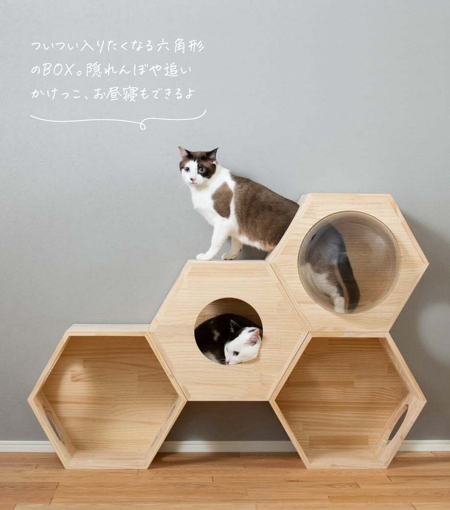 【猫カフェ】キャットタワー＆猫ハウス