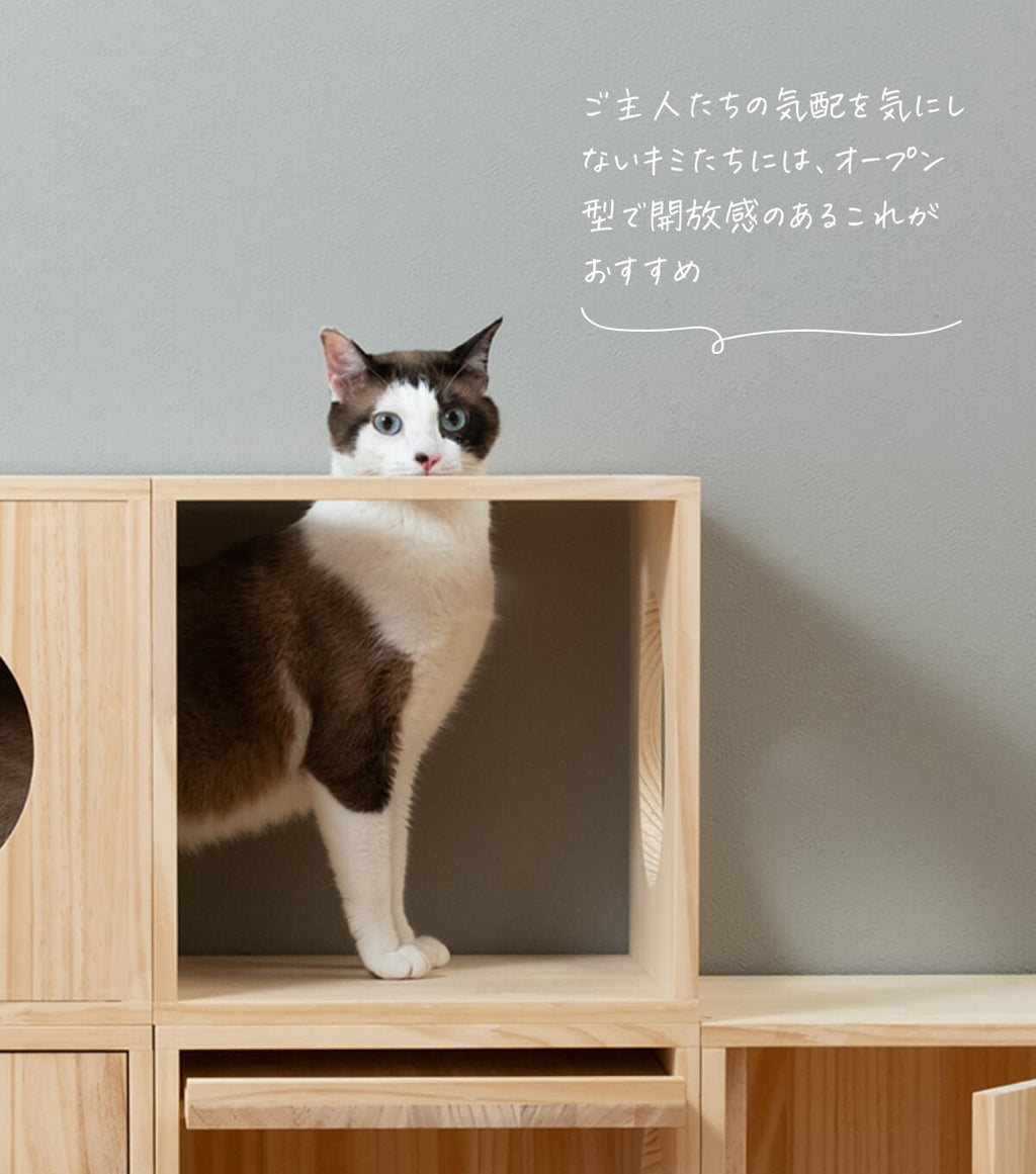 割引発見 Cat's工房 キャットハウス yukisuke様 猫用品 