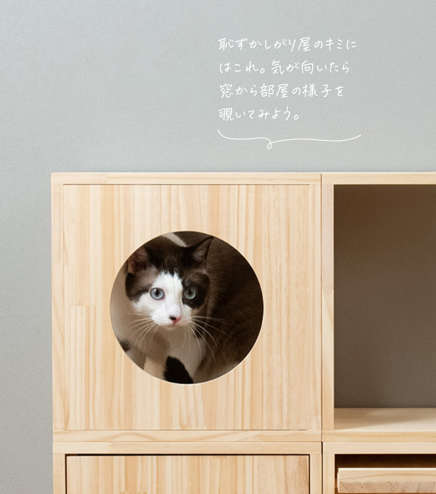 猫ハウス&キャットタワー 四角BOX②箱丸 ｜ 猫のための木工所